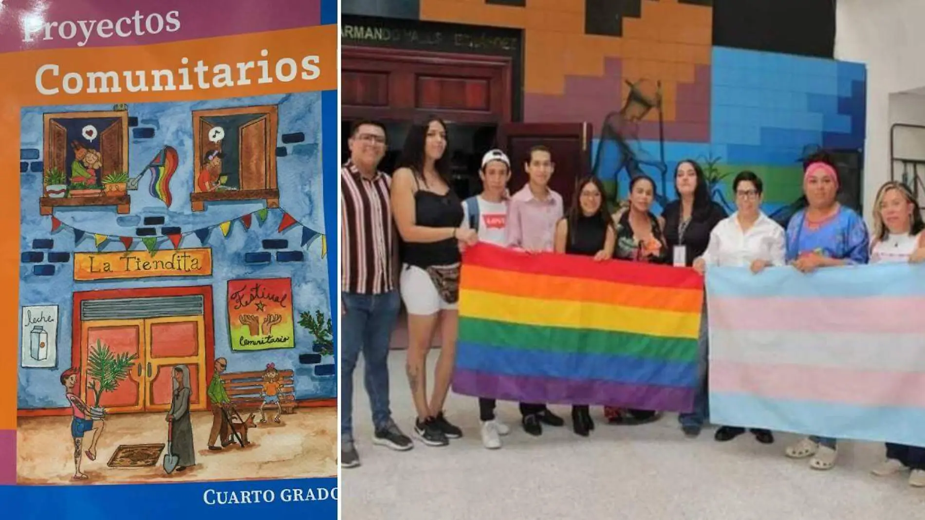 inclusión en libros de texto gratuito